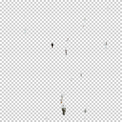 Variation 5