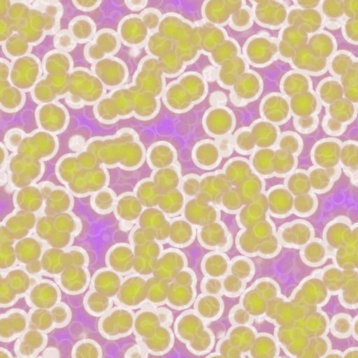 Variation 4