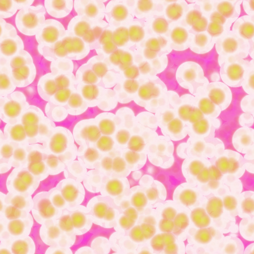 Variation 6