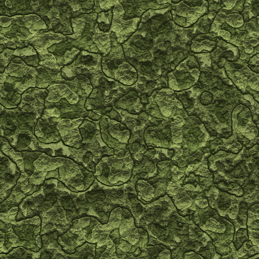 Variation 7