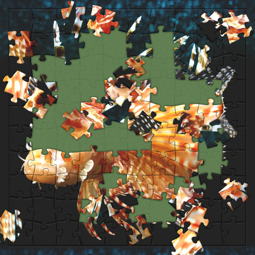 Variation 2