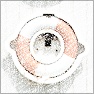 Paint.NET