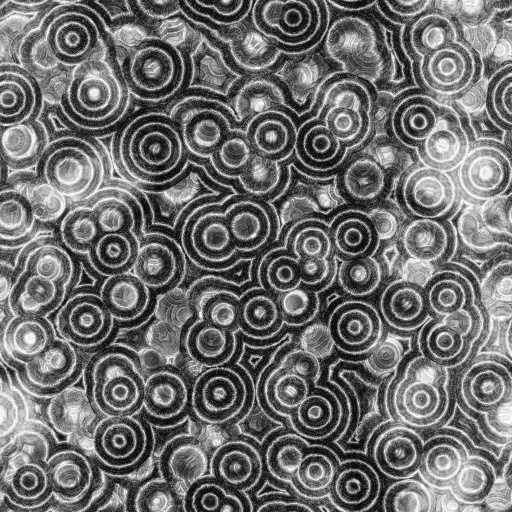 Ambient Occlusion Map