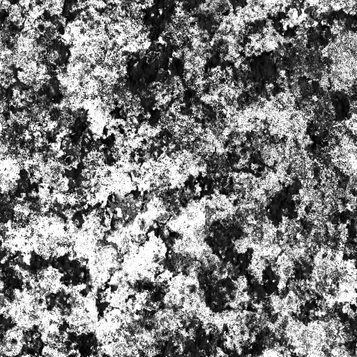 Diffuse Map