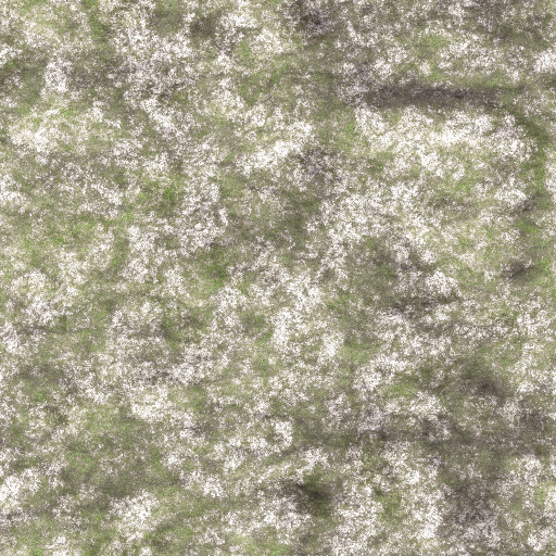 Variation 1