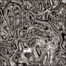Liquid Mirror