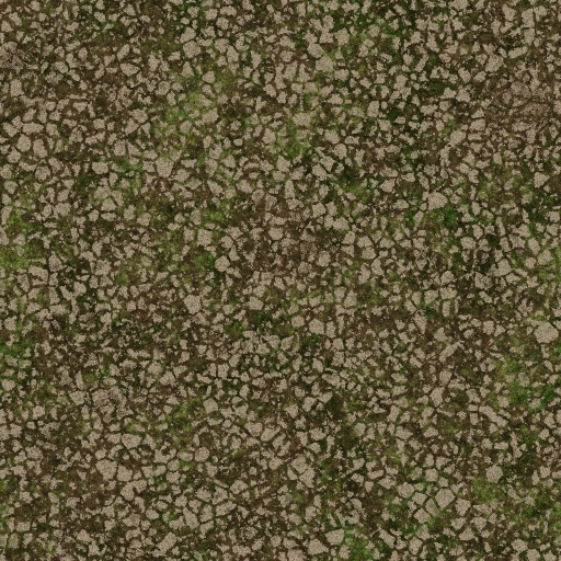 Variation 1