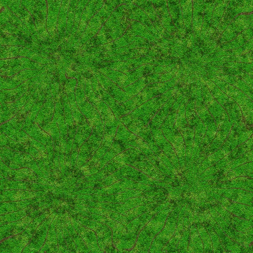 Variation 8