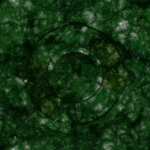 Variation 4