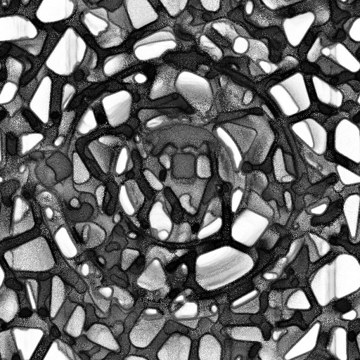 Ambient Occlusion Map