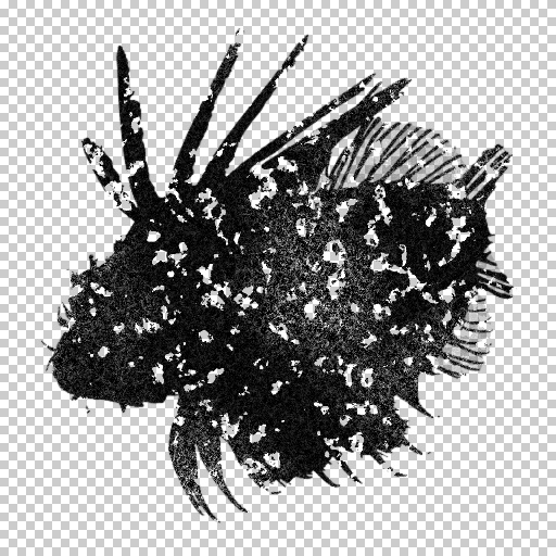 Variation 5