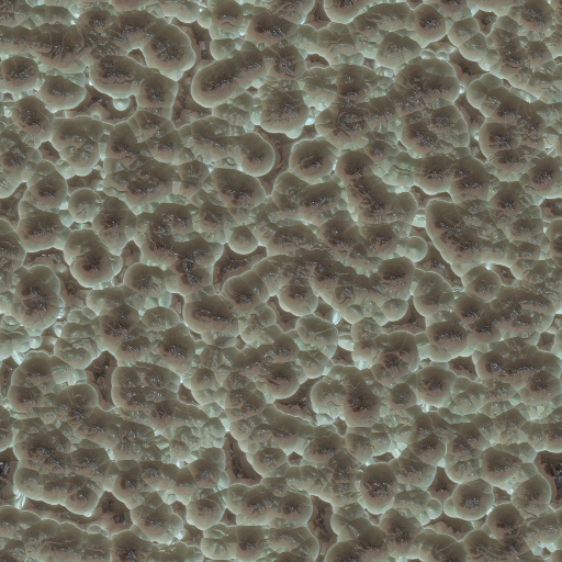 Variation 2