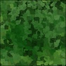 TechCamo
