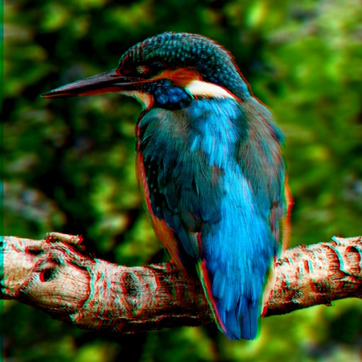 Variation 3