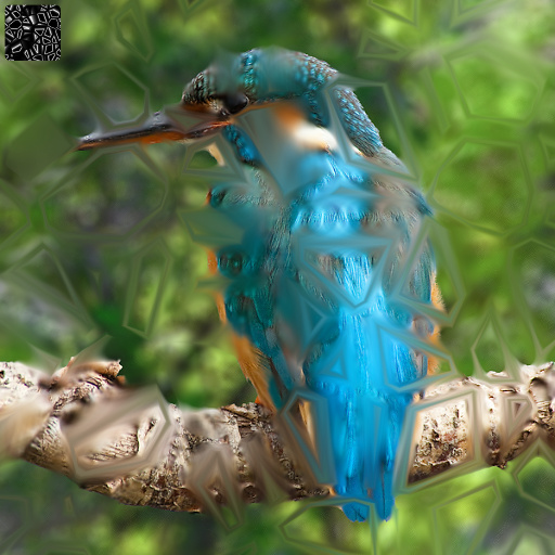Variation 8