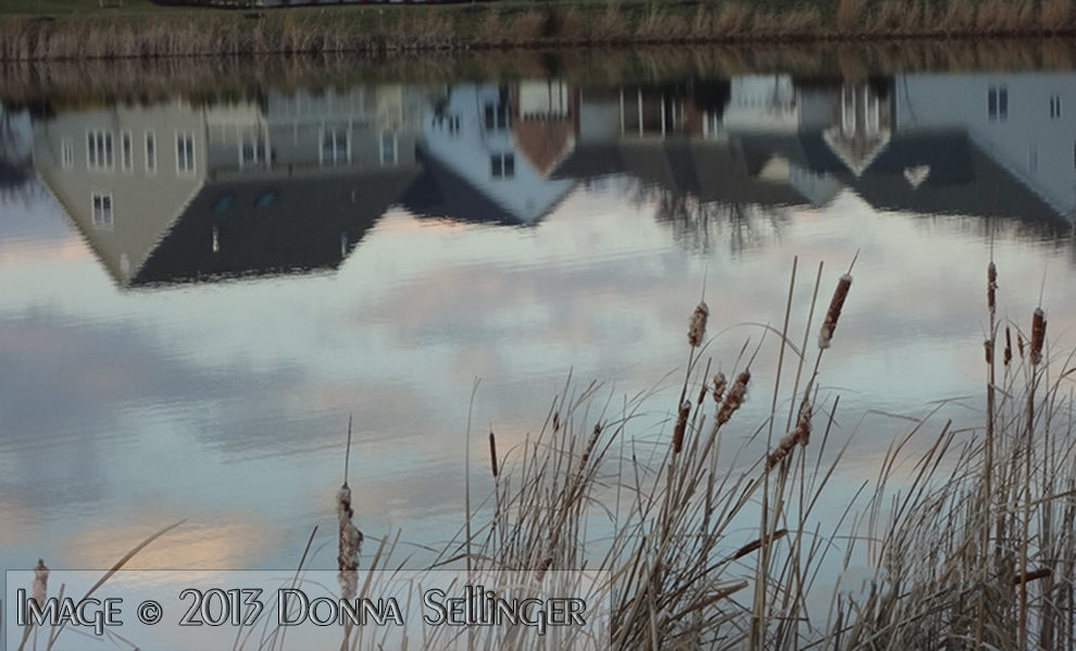 Reflections by dfsmetsfan