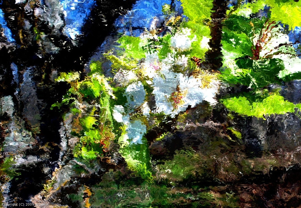 White Blossums 09