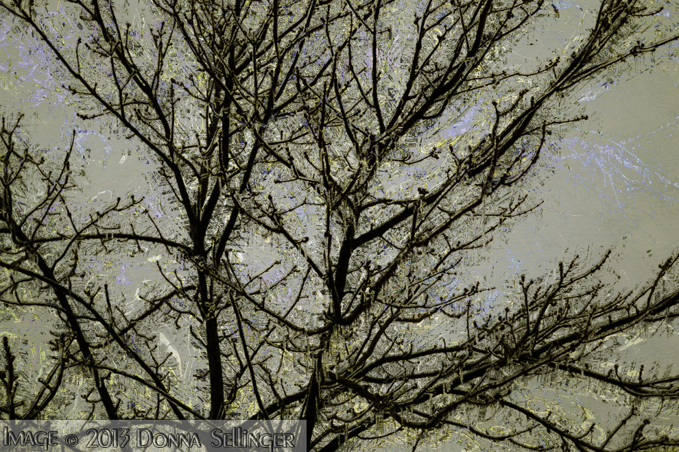 Ice Storm 2013 by dfsmetsfan