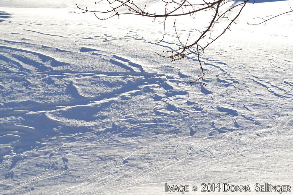 Snow Waves by dfsmetsfan