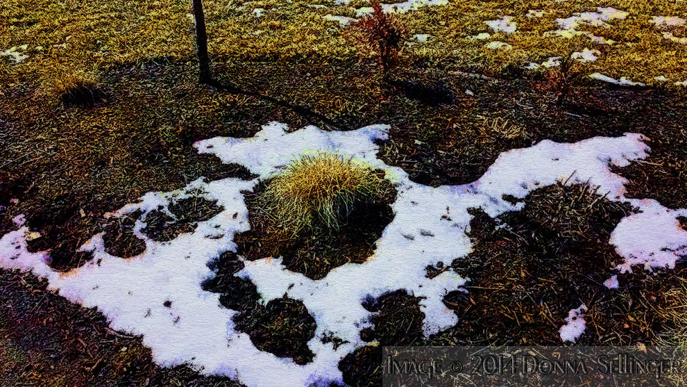 Last Vestiges of Snow by dfsmetsfan