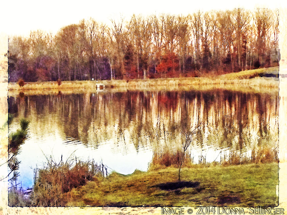 Reflections 2 by dfsmetsfan