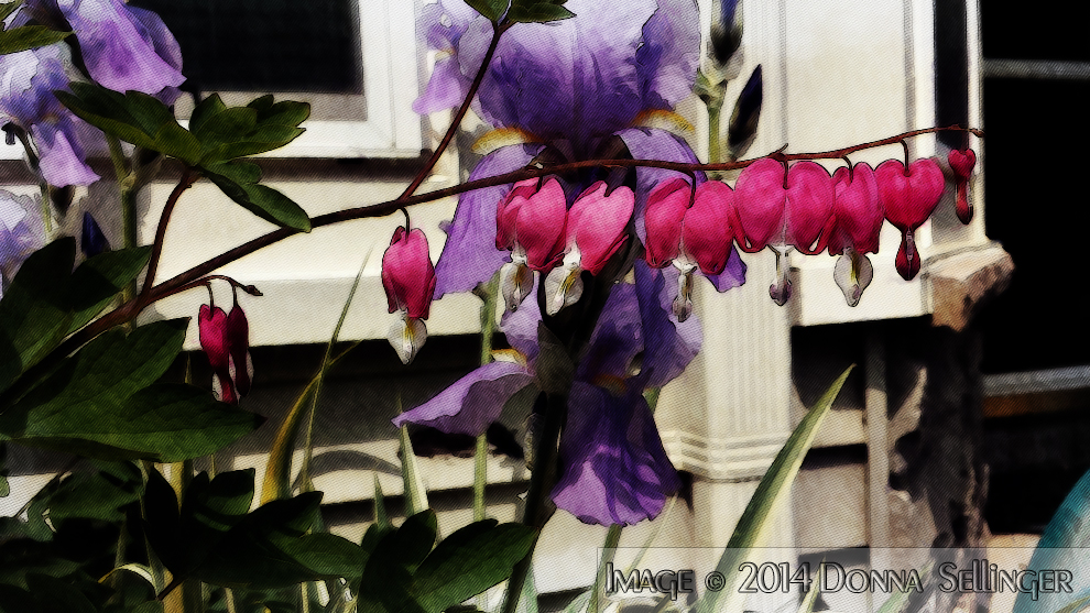 Lilacs & Bleeding Hearts by dfsmetsfan