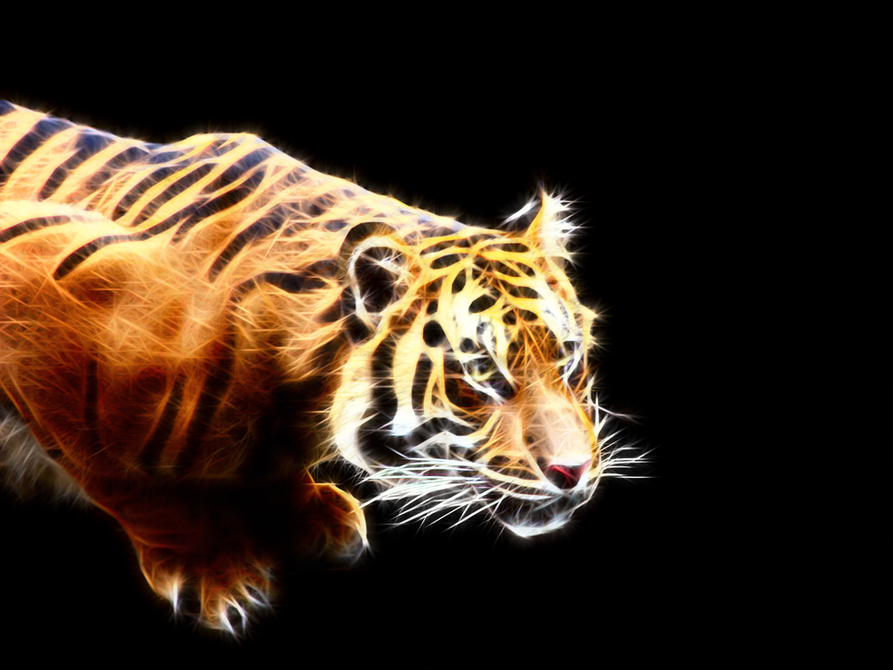 Sumatran Tiger (fractalized) by greyloch