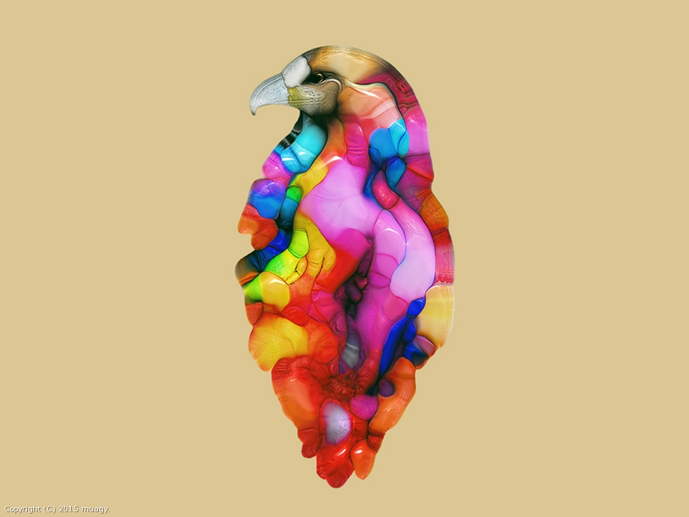 candybird by muagy