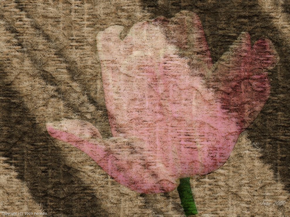 Spring Tulip by Presidio
