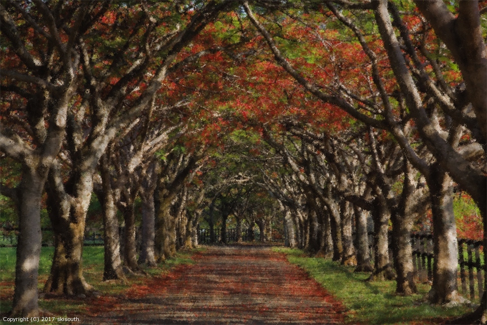 Autumn Alley by skisouth