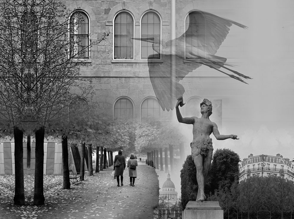 Dream walking by erica lyons