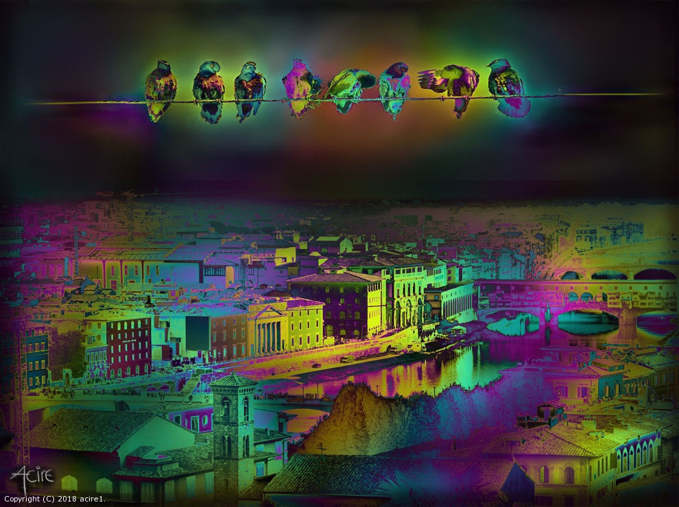Wire Squad by acire1