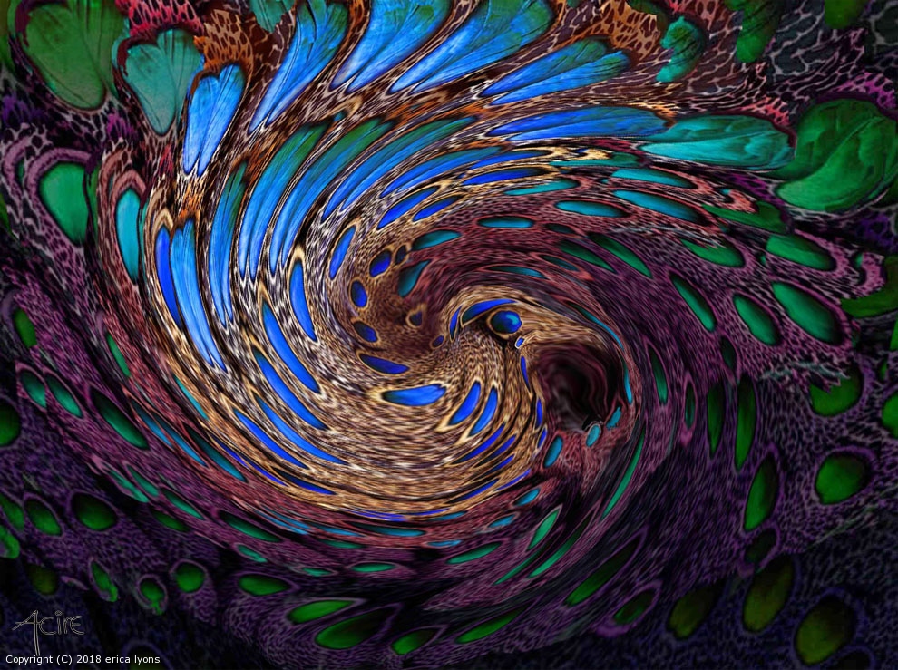 Nesting Bird by erica lyons