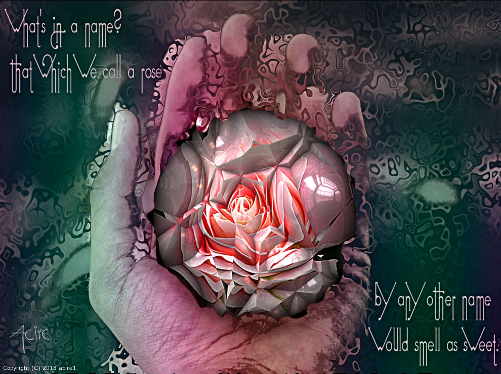 Small of the Rose by acire1