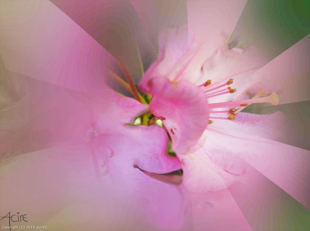 The hidden Smile by acire1