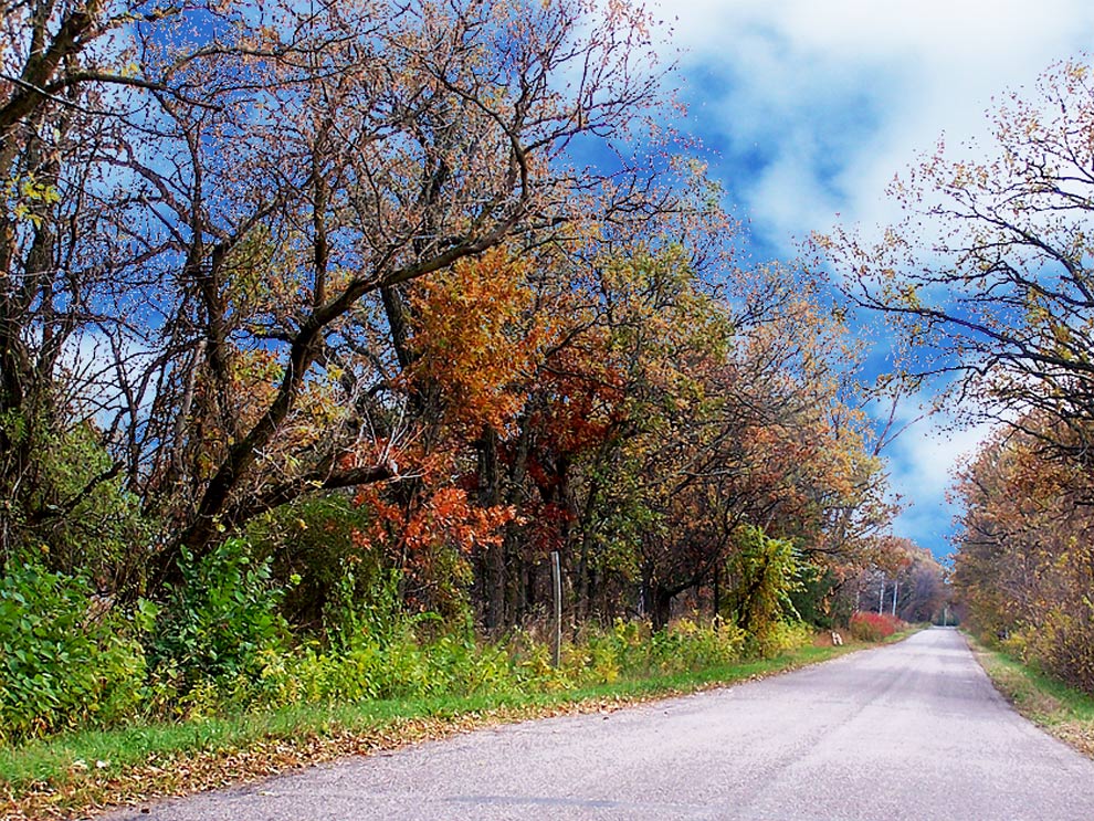 Plush Country Roads by Boogie Jack
