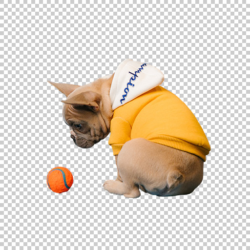 Original Image