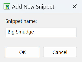 Add New Snippet dialog