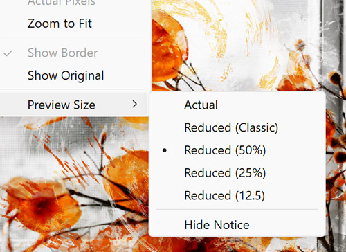 Preview Size Menu