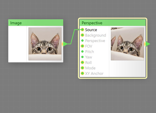 Perspective Component