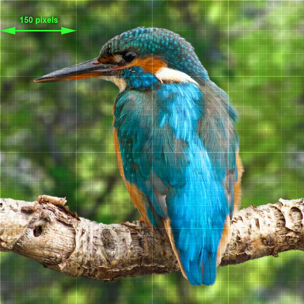 600x600