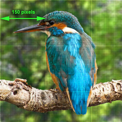 400x400